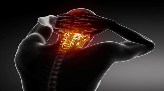 December 5-6, 2025: Module 11. CBP® Whiplash Trauma