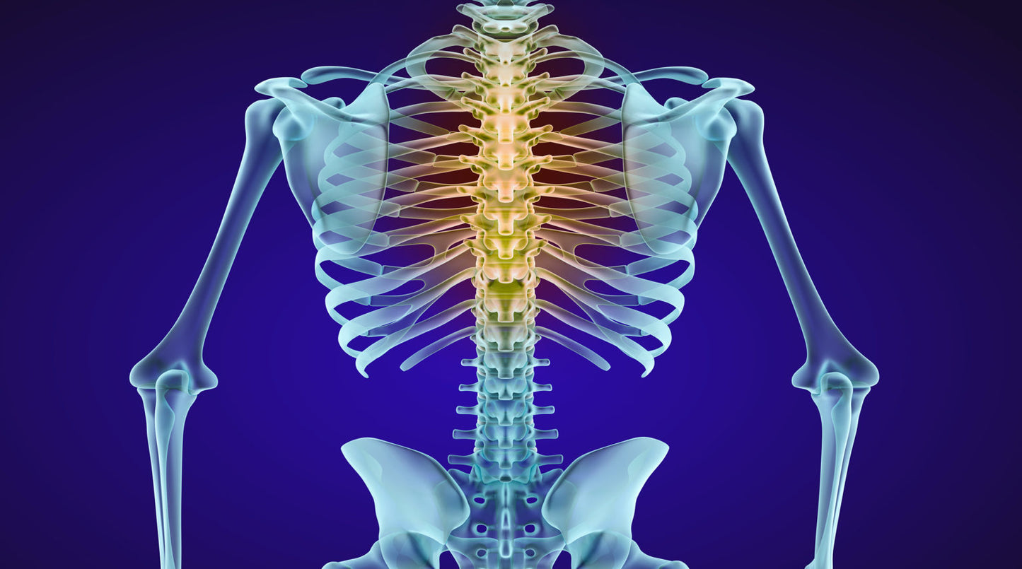November 14-15, 2025: Module 1. CBP® Basics